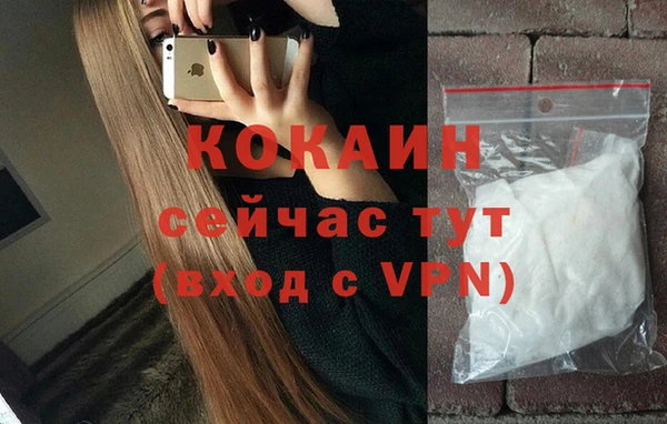 spice Алзамай