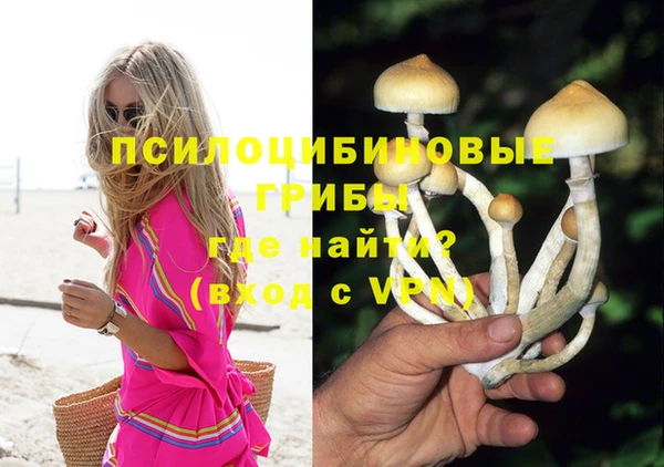 spice Алзамай