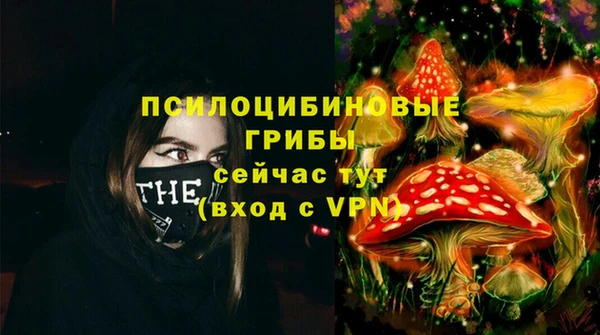 spice Алзамай