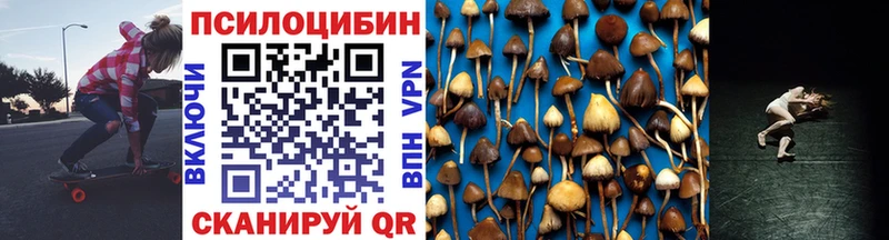 Галлюциногенные грибы Psilocybe Баймак
