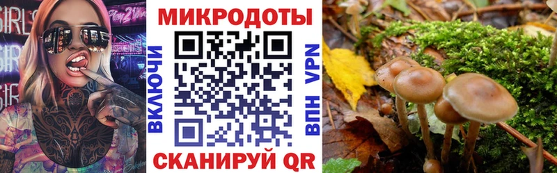 Псилоцибиновые грибы мицелий  Баймак 